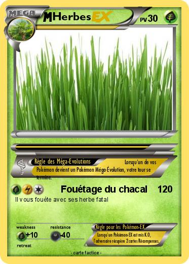 Pokemon Herbes