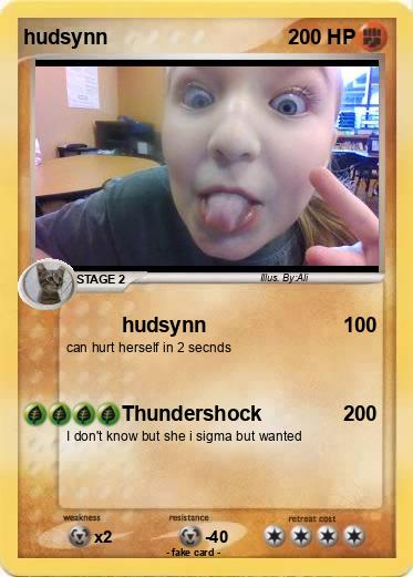 Pokemon hudsynn