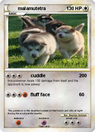 Pokemon malamutetra