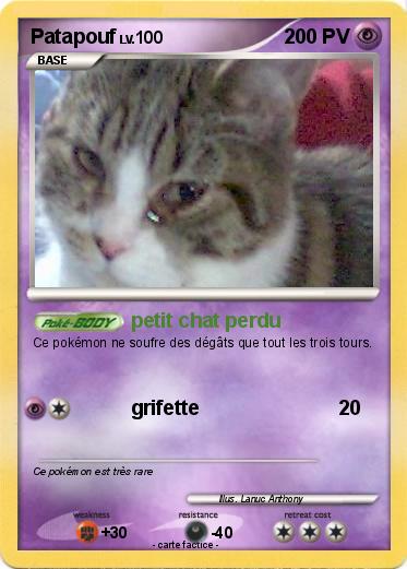 Pokemon Patapouf