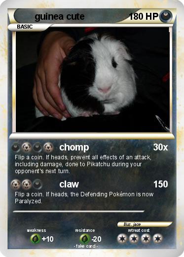 Pokemon guinea cute