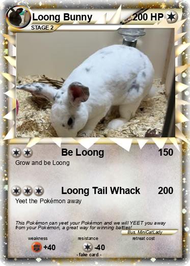 Pokemon Loong Bunny