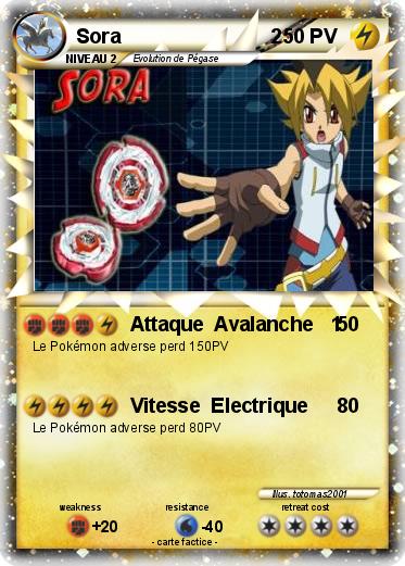 Pokemon Sora                           2