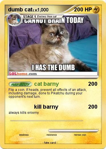 Pokemon dumb cat