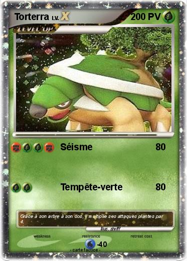 Pokemon Torterra