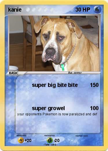 Pokemon kanie