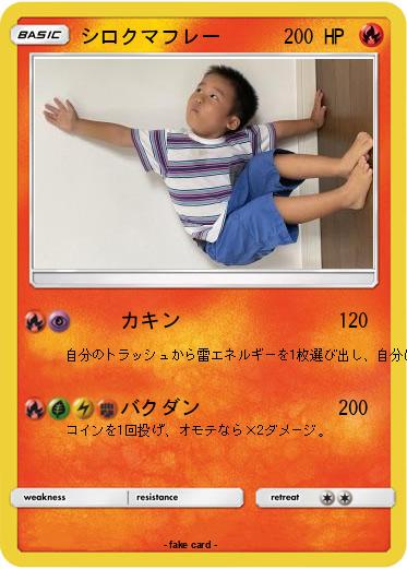 Pokemon シロクマフレー