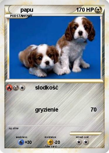 Pokemon papu