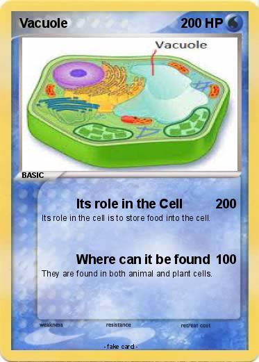 Pokemon Vacuole