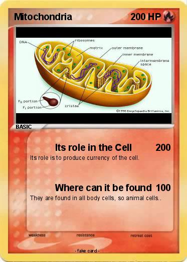 Pokemon Mitochondria