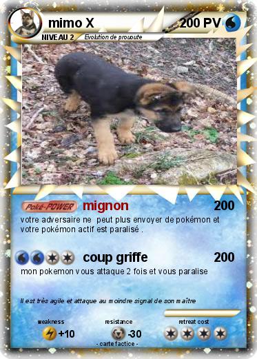 Pokemon mimo X