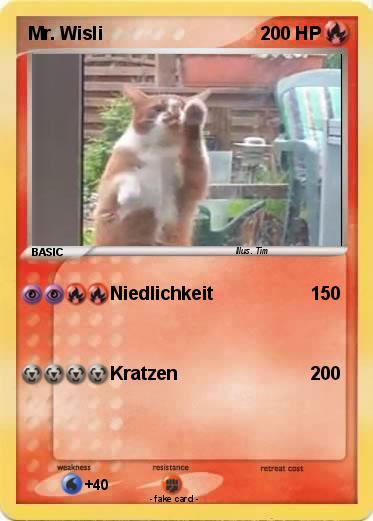 Pokemon Mr. Wisli