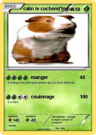 Pokemon calin le cochond'ingue