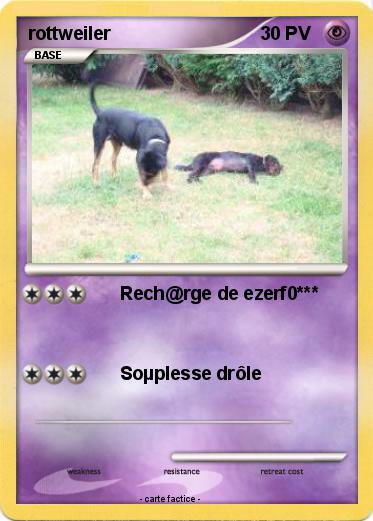 Pokemon rottweiler