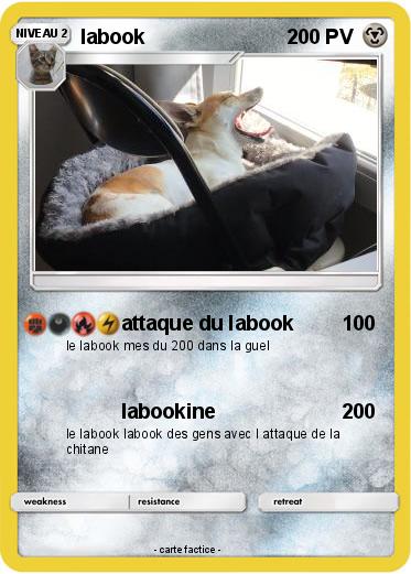 Pokemon labook