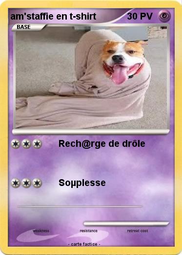 Pokemon am'staffie en t-shirt