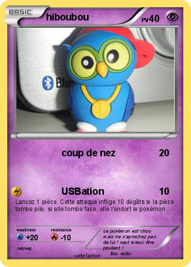 Pokemon hiboubou
