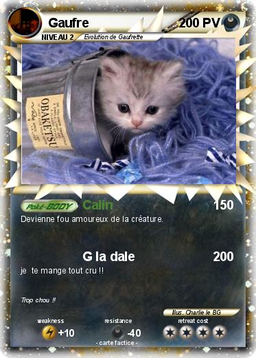 Pokemon Gaufre