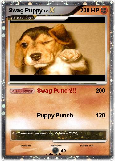 Pokemon Swag Puppy