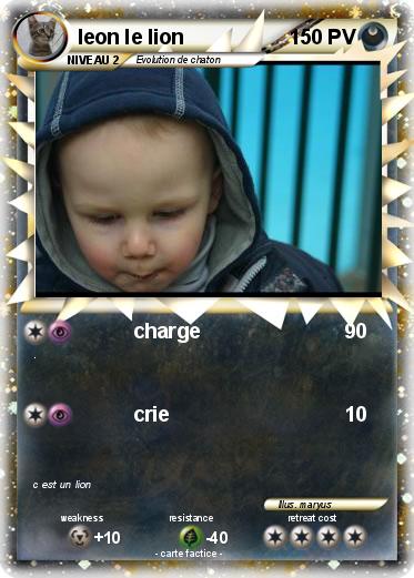 Pokemon leon le lion