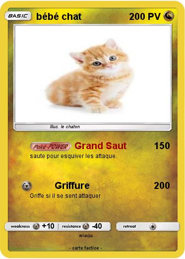Pokemon bébé chat