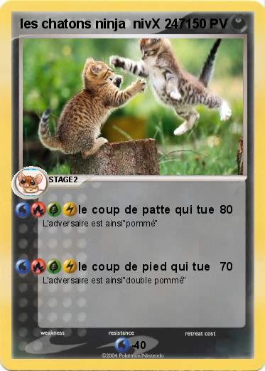 Pokemon les chatons ninja  nivX 247