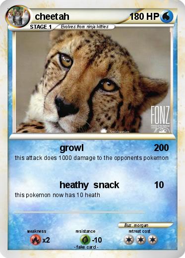 Pokemon cheetah