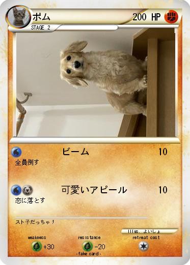 Pokemon ポム