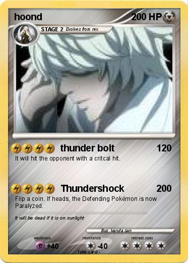 Pokemon hoond