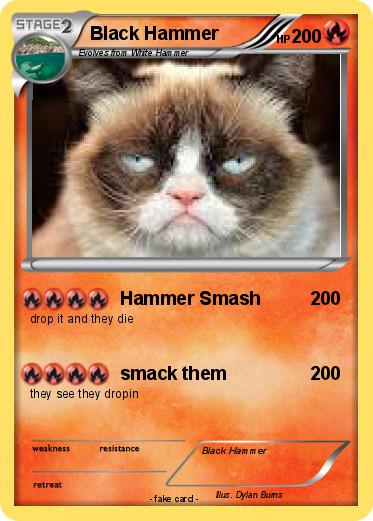 Pokemon Black Hammer