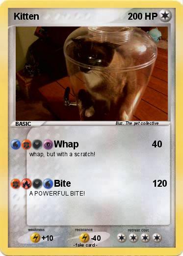 Pokemon Kitten