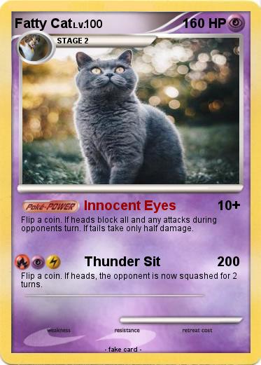 Pokemon Fatty Cat