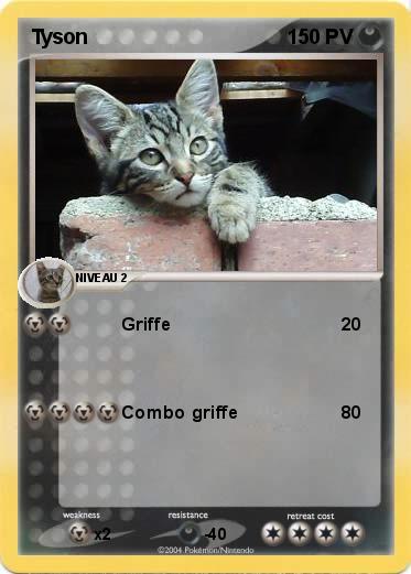 Pokemon Tyson