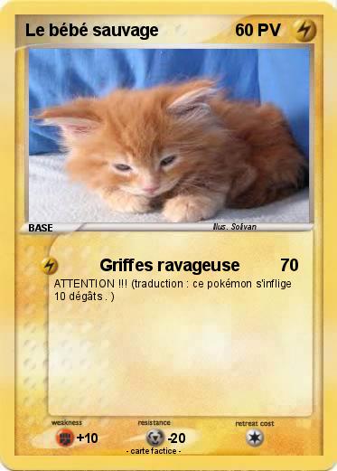 Pokemon Le bébé sauvage