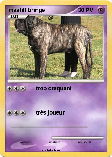 Pokemon mastiff bringé