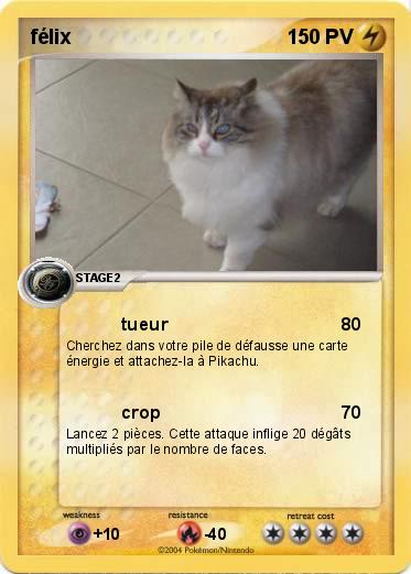 Pokemon félix