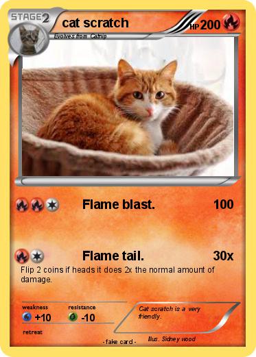 Pokemon cat scratch