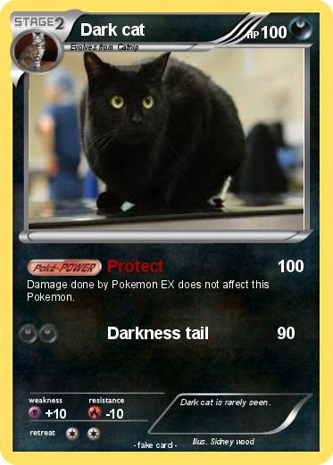 Pokemon Dark cat