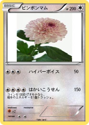 Pokemon ピンポンマム