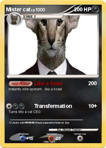 Pokemon Mister cat
