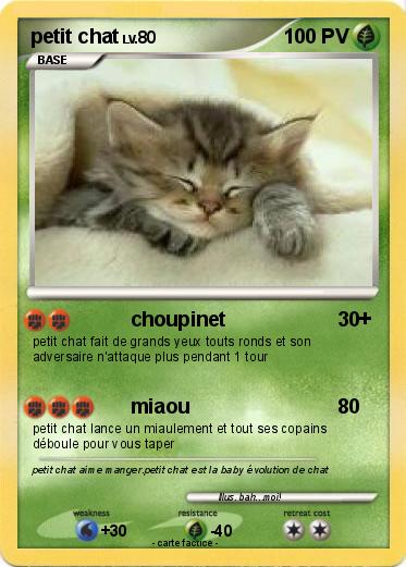 Pokemon petit chat
