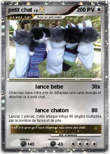 Pokemon petit chat