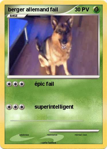 Pokemon berger allemand fail