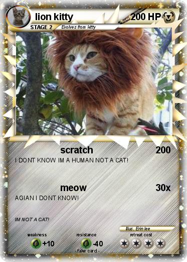 Pokemon lion kitty