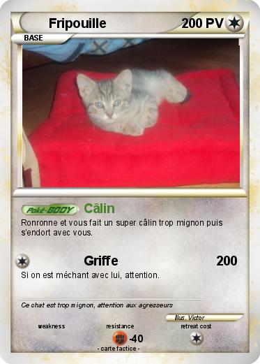 Pokemon Fripouille
