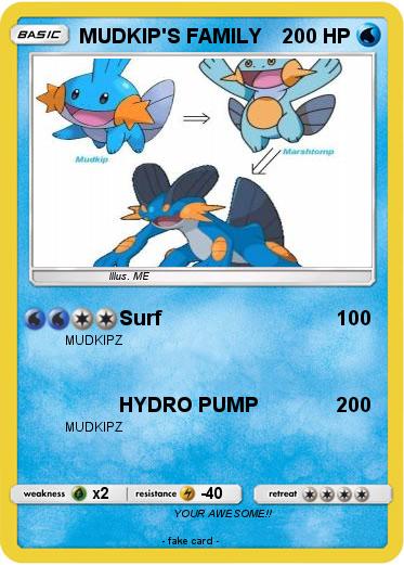 Pokemon MUDKIP'S FAMILY