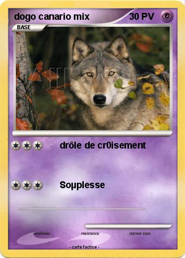 Pokemon dogo canario mix