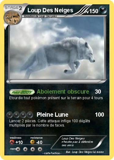 Pokemon Loup Des Neiges