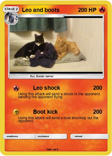 Pokemon Leo and boots