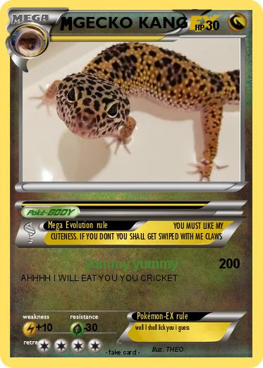 Pokemon GECKO KANG